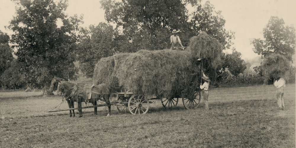 Old rural life hay