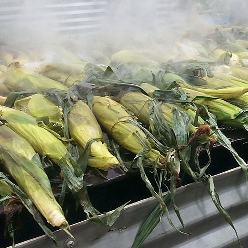 Corn Roast Festival