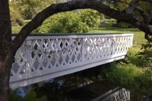 1899 Wedding at Union Mills