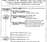 Family Record 13-1 Shriver Green Book Genealogical Records