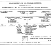 Green Book Tabulated Genealogical Records